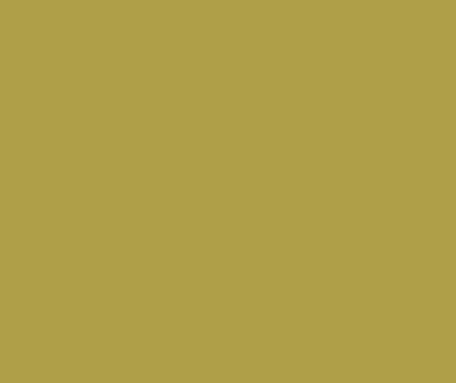 Amostra de cor o Ochre Yellow RAL 1024- Eurolatina