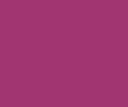 Amostra de cor o Traffic Purple RAL 4006- Eurolatina