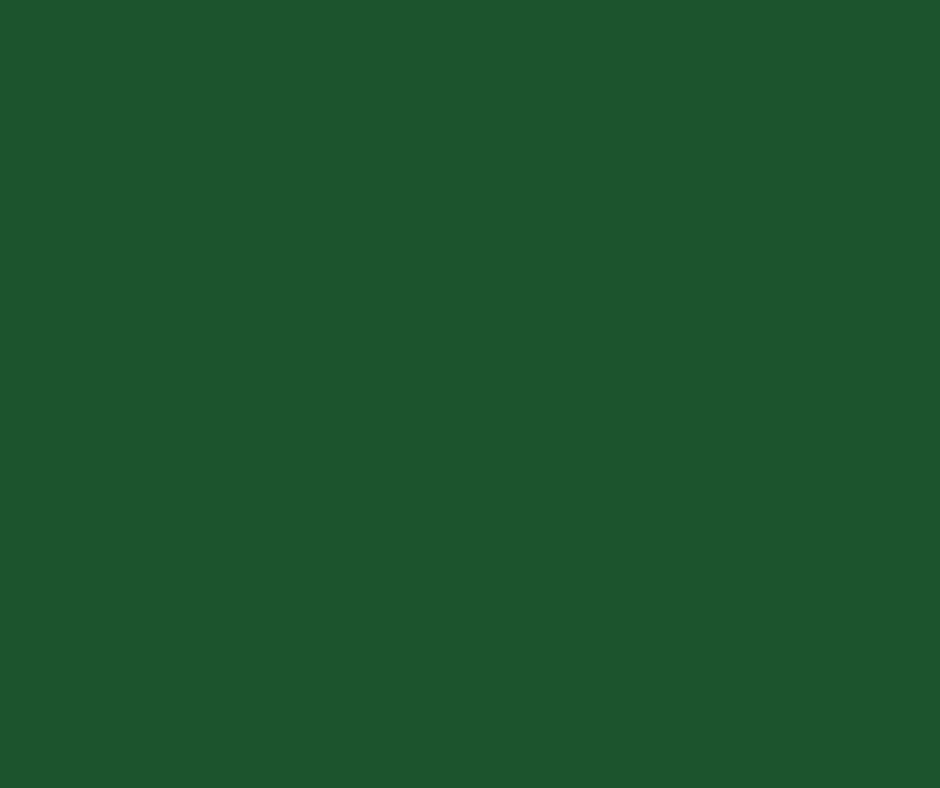 Amostra de cor Pearl Green RAL 6035- Eurolatina